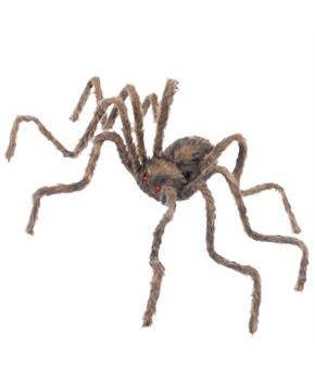 50" Brown Spider