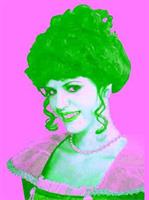 Victorian Lady Wig Adult