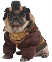 Pity the Bull Pet Costume