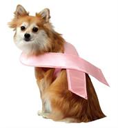 Pink Ribbon Pet Costume