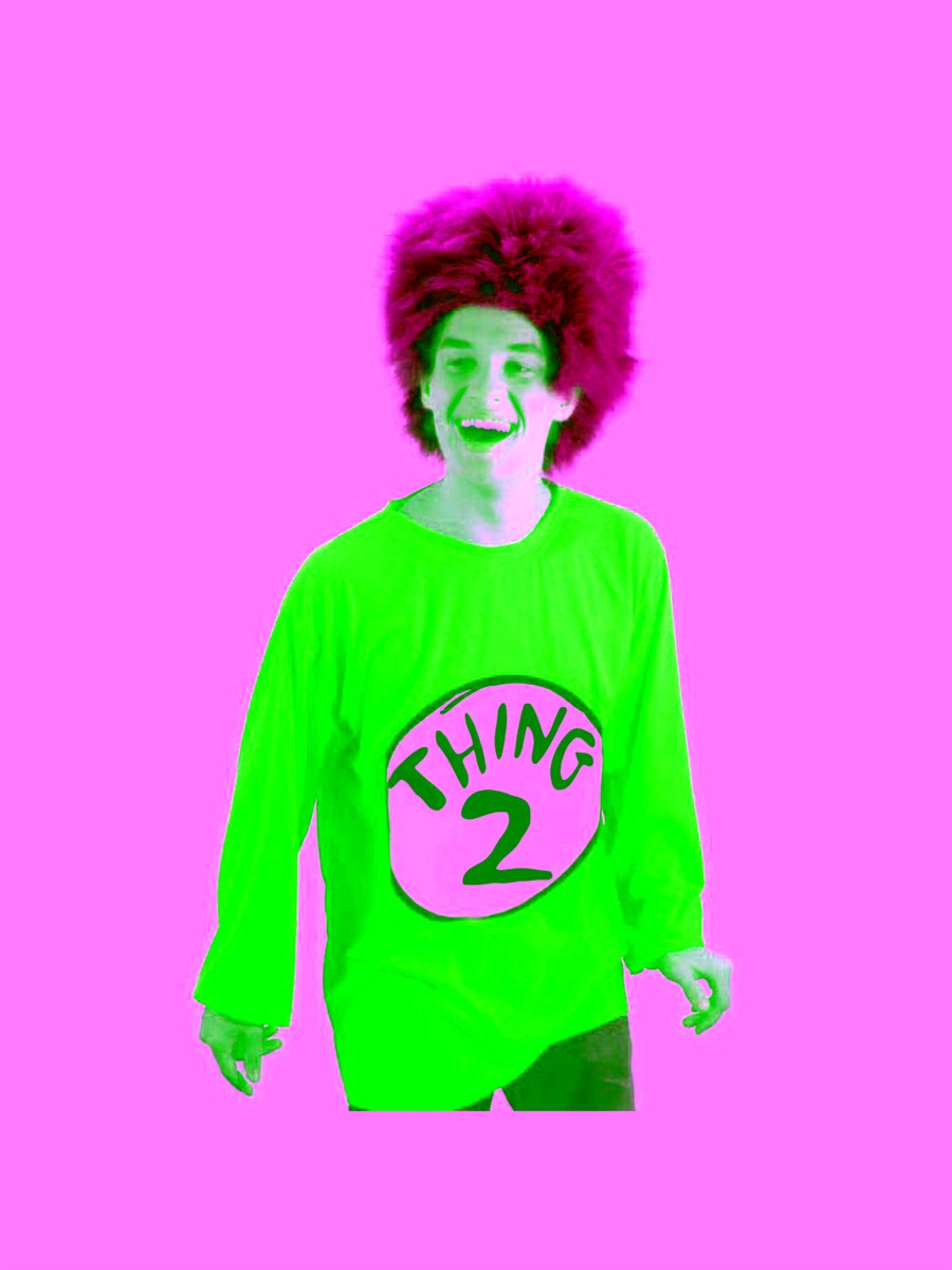 Dr seuss thing 2 adult costume kit partybell