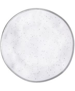 Silver Speckle 10.5 in. Melamine Plates with Silver Trim