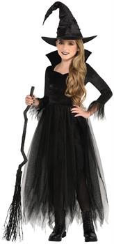 Enchanted Witch Costume