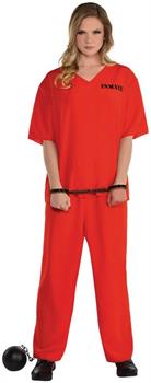 Adult Incarcerated Costume Plus XXL (48