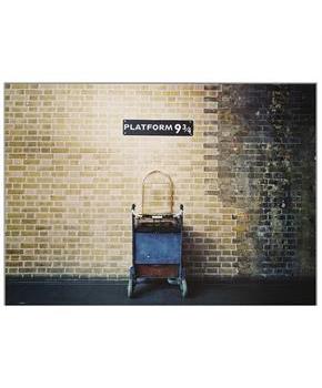 Platform 9 3/4 Backdrop 61" x 43"