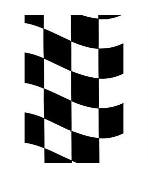 Racing Party Tablecover