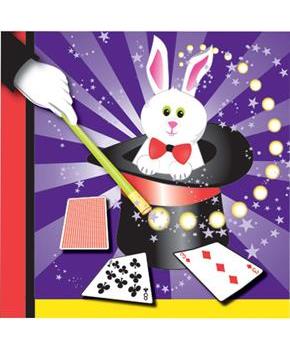 Magic Lunch Napkins (16)