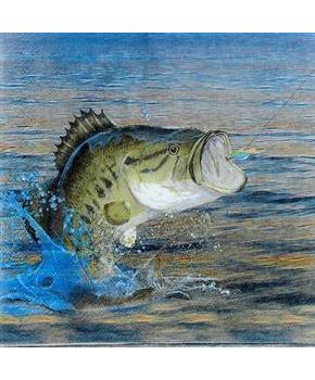 Gone Fishin Luncheon Napkins (16)