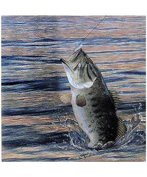 Gone Fishin Beverage Napkins (16)