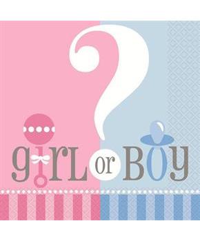 Gender Reveal Luncheon Napkins (20)