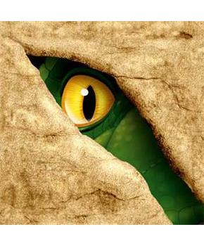 Dinosaur Adventure Beverage Napkins