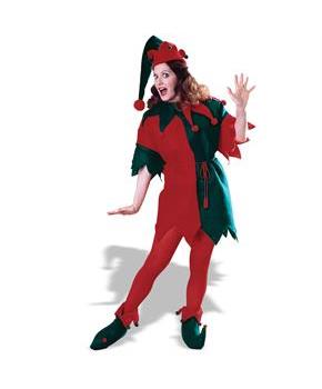 Complete Elf Adult Costume
