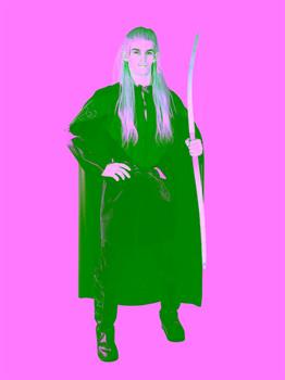 The Lord Of The Rings Legolas Adult Costume