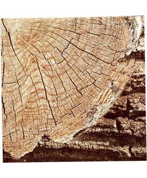 Rustic Wood Lunch Napkins (16)