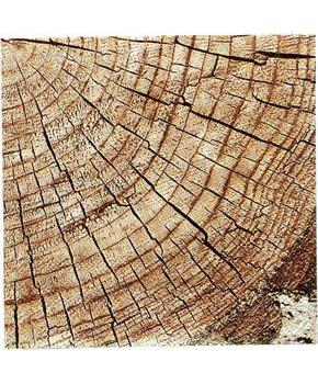 Rustic Wood Beverage Napkins (16)