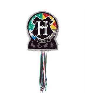 Harry Potter Shaped Pinata