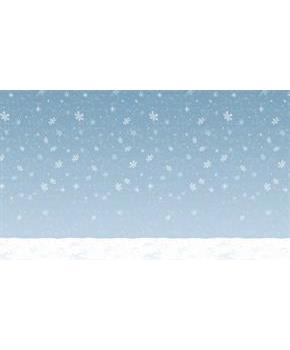 30' Winter Sky Backdrop 30'