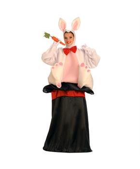Magic Hat Rabbit Adult Costume