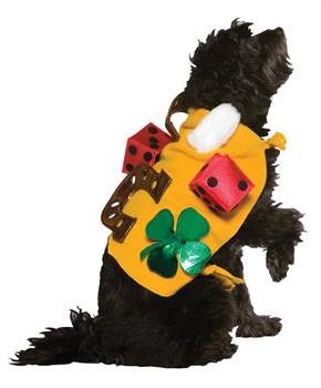 Lucky Dog Pet Costume