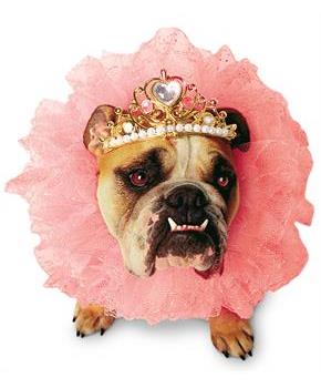 Zelda Wisdom - Queen Dog Costume