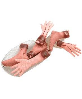 Body Parts (6 count)