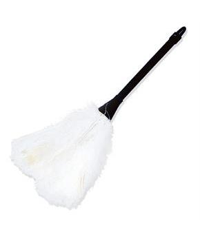 Feather Duster