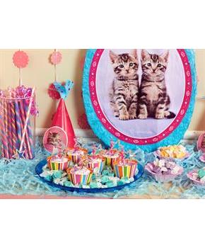 Rachaelhale Glamour Cats Pack Add-On (8)