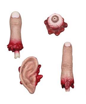Body Parts Small Assorted (4 count)