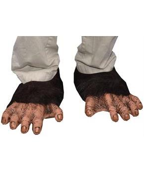 Adult Chimp Feet