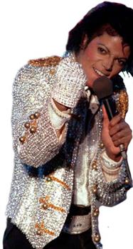 Adult Michael Jackson Sequin Glove
