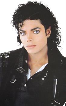 Adult Michael Jackson Curly Thriller Wig