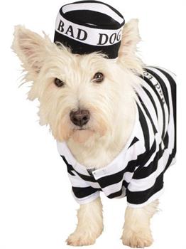 Prisoner Dog Pet Costume
