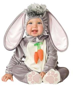 Wee Rabbit Infant / Toddler Costume