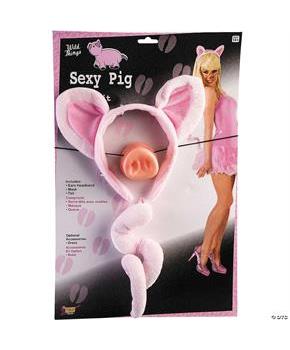 Pig Accessory Kit