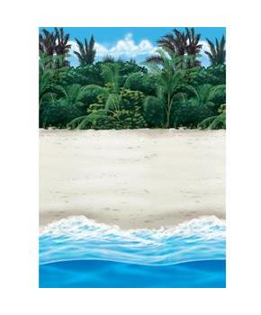Beach Room Roll 4' high x 40' wide