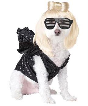 Pop Sensation Pet Costume