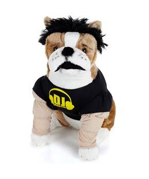DJ Master Pet Costume