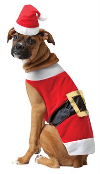 Santa Pet Costume