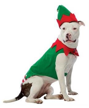 Elf Pet Costume