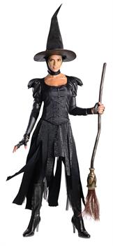 Oz The Great And Poweful Deluxe Wicked Witch of the West Adult Costume
