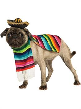 Mexican Poncho And Sombrero Pet Costume
