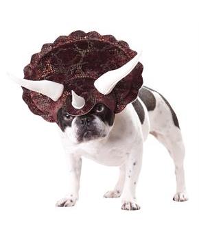 Triceratops Dog Costume