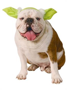Yoda Dog Headpiece
