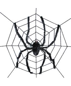 Spider Web with Giant Spider