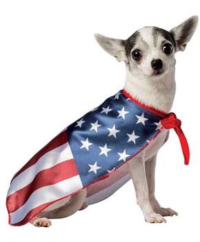 USA Flag Cape Pet Costume