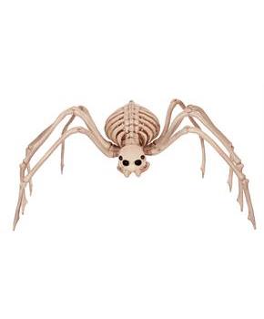 Skeleton Spider