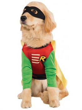 Robin Pet Costume