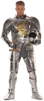 Knight in Shining Armor Adult Costume