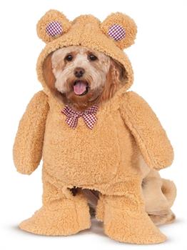 Walking Teddy Bear Pet Costume