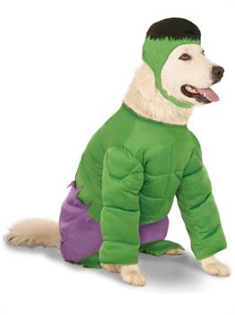 Hulk Pet Costume